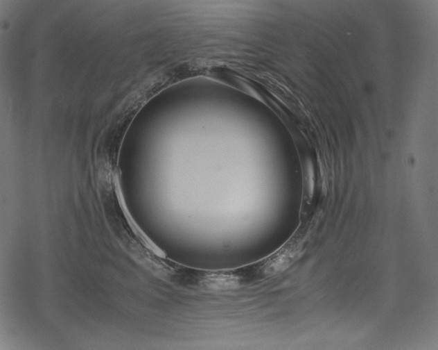 X0000078240617200611031111
