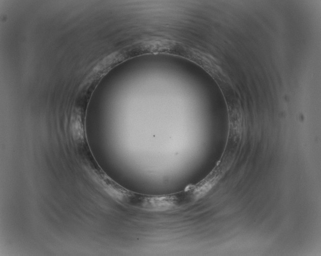 X0000078240622200611031111