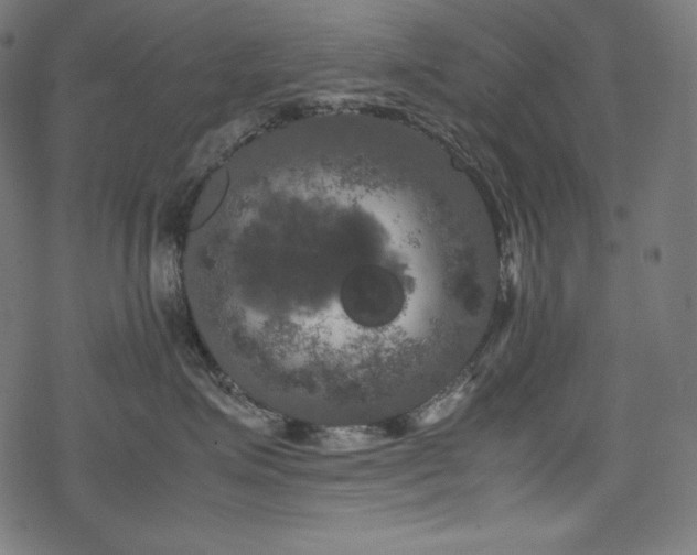 X0000078240623200611031111