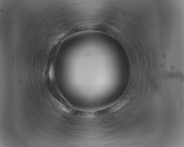 X0000078240624200611031111