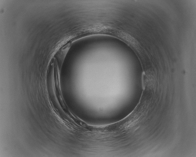 X0000078240626200611031110