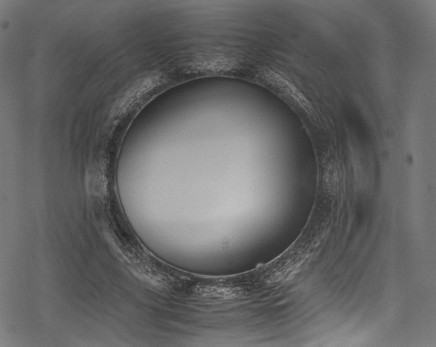 X0000078240635200611031111