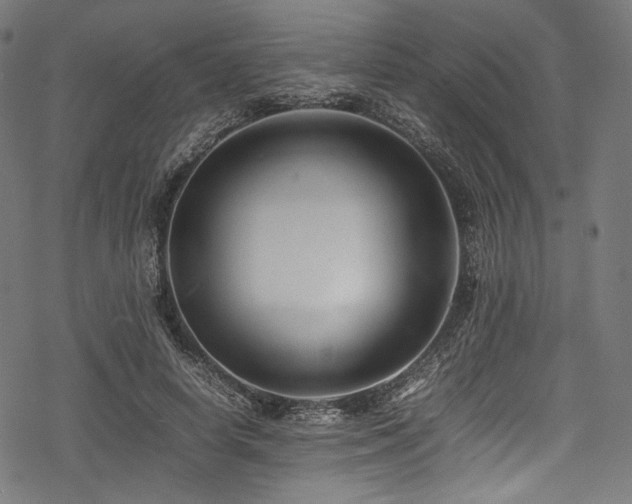 X0000078240642200611031111