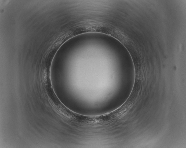 X0000078240646200611031111
