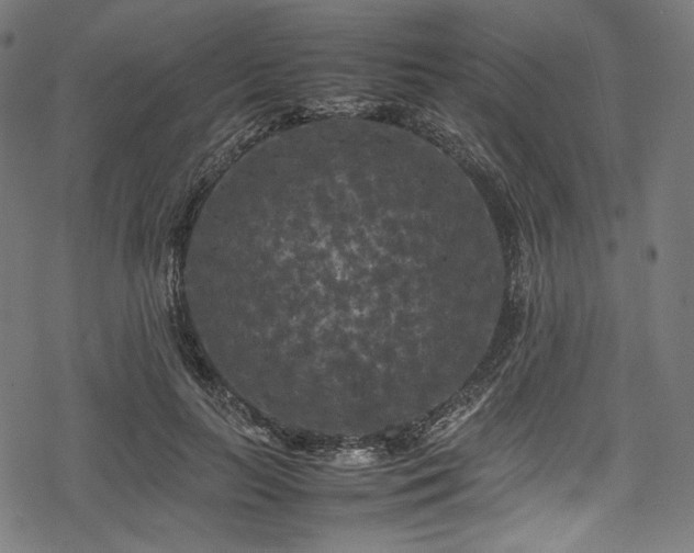 X0000078240647200611031111