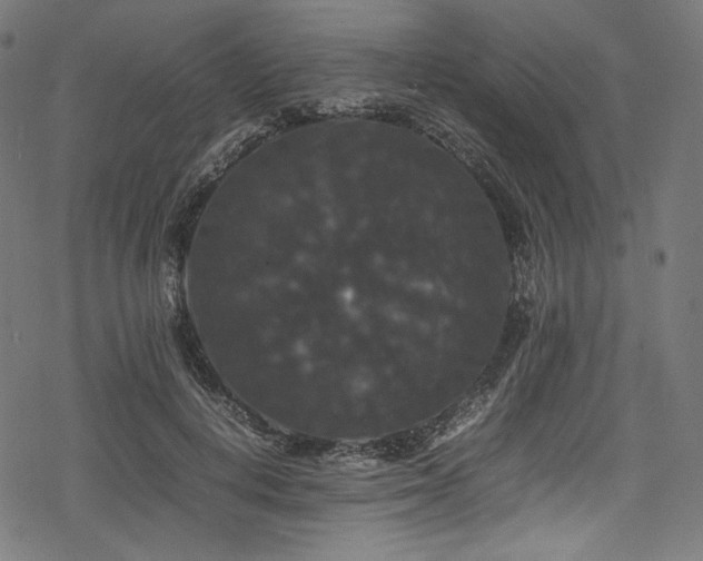 X0000078240648200611031111