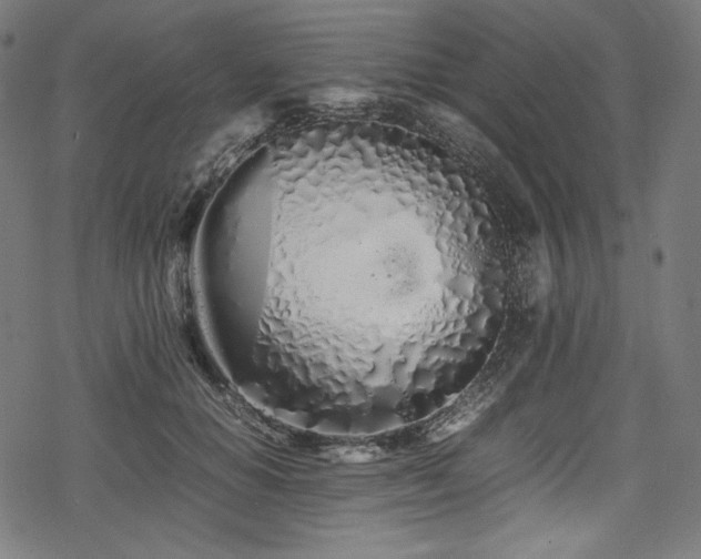 X0000078240654200611031111
