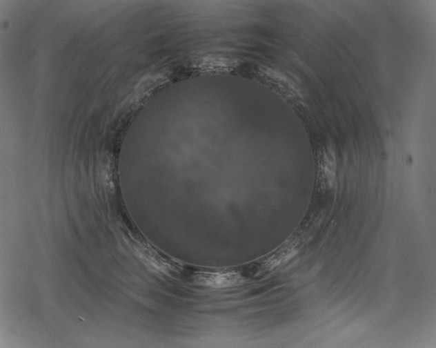 X0000078240663200611031111