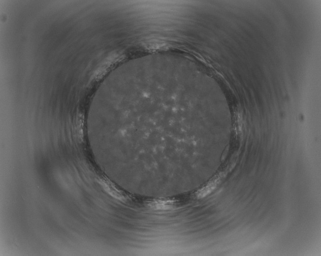 X0000078240664200611031111