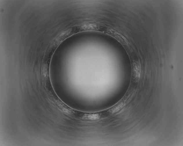 X0000078240665200611031111
