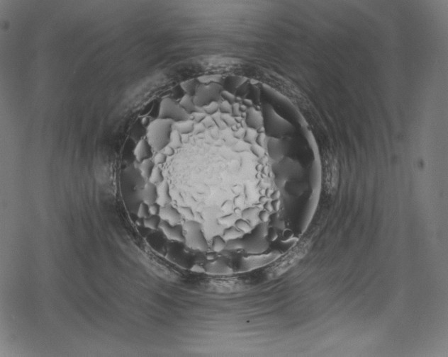 X0000078240666200611031111