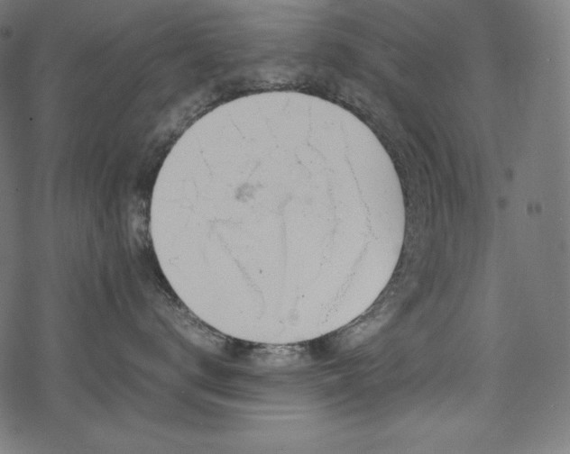 X0000078240672200611031111