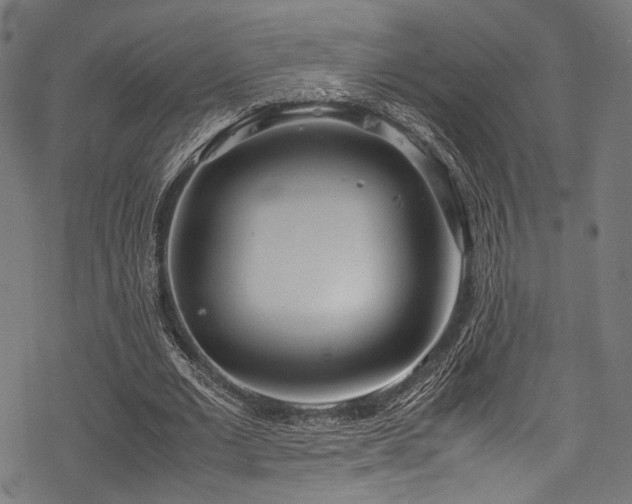 X0000078240677200611031110