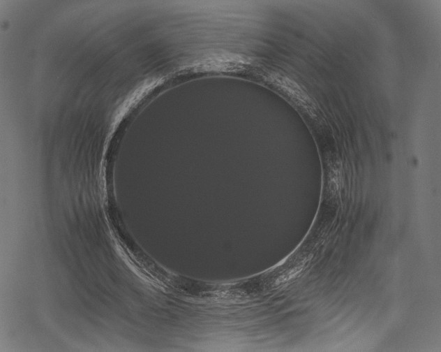 X0000078240678200611031110
