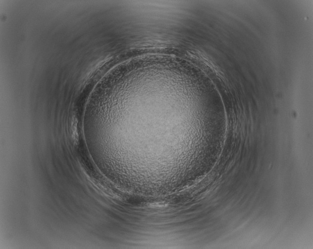 X0000078240692200611031110