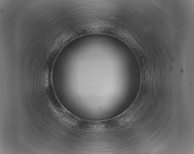X0000078240694200611031110