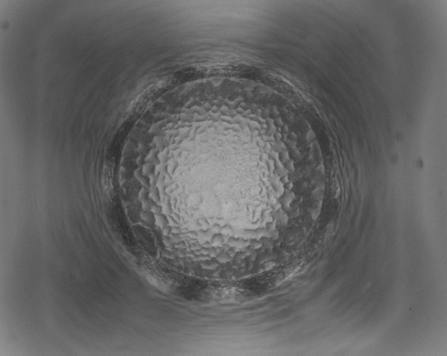 X0000078240695200611031110