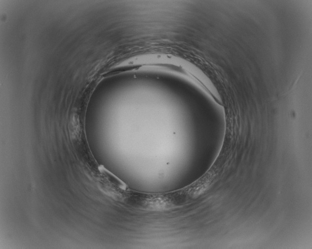 X0000078240704200611031110
