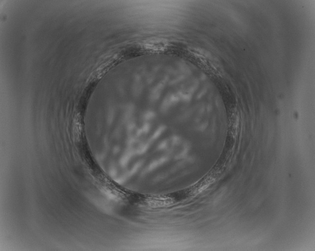 X0000078240707200611031110