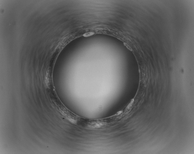 X0000078240708200611031110