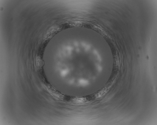 X0000078240711200611031110