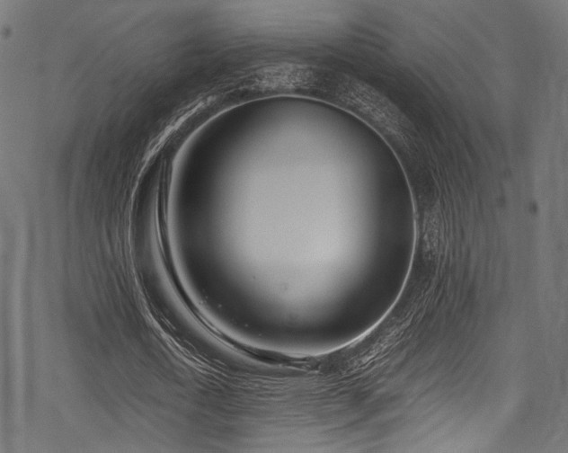 X0000078240722200611031109