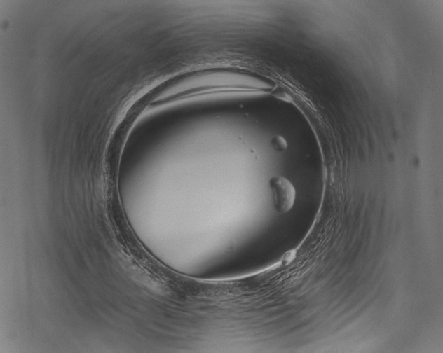 X0000078240724200611031109