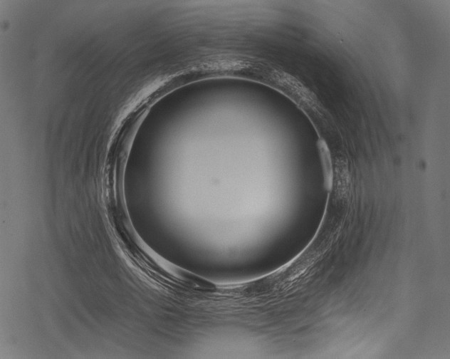 X0000078240726200611031109