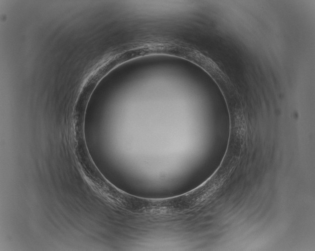 X0000078240730200611031109