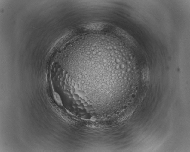 X0000078240733200611031109