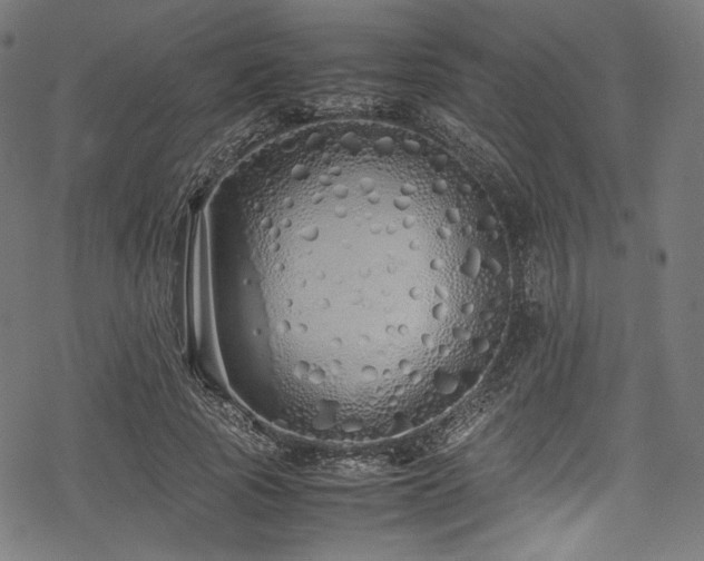 X0000078240737200611031109