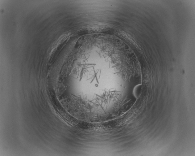 X0000078240738200611031109