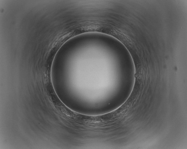 X0000078240743200611031109