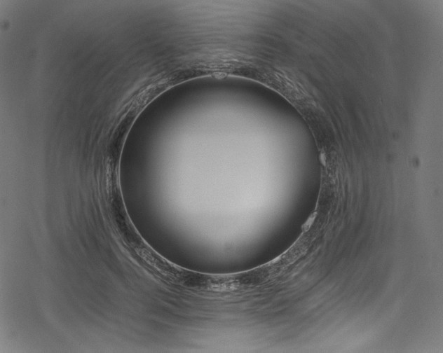 X0000078240744200611031109