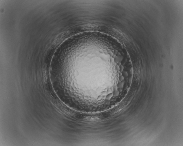 X0000078240749200611031109