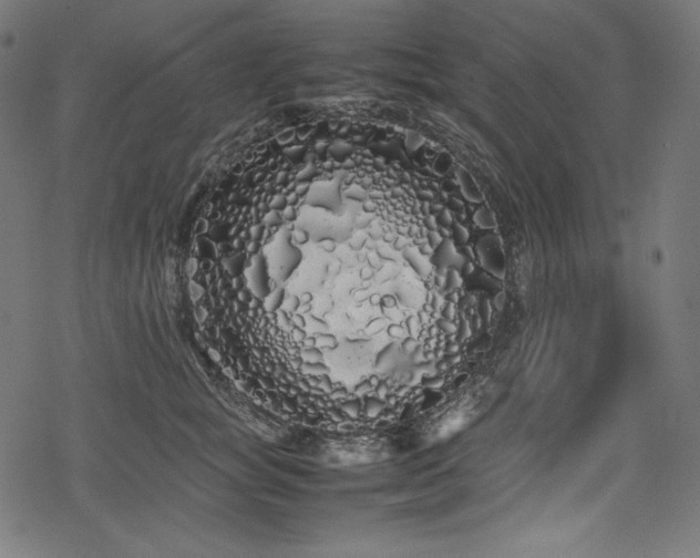 X0000078240757200611031109
