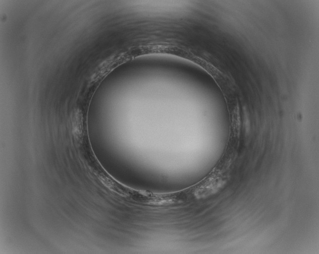 X0000078240760200611031110