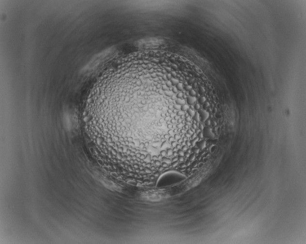 X0000078240761200611031110