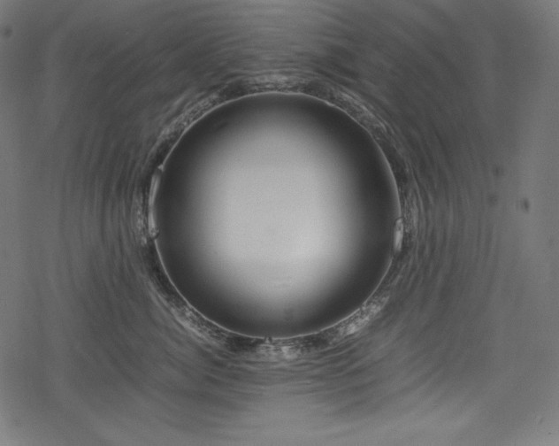 X0000078240764200611031110
