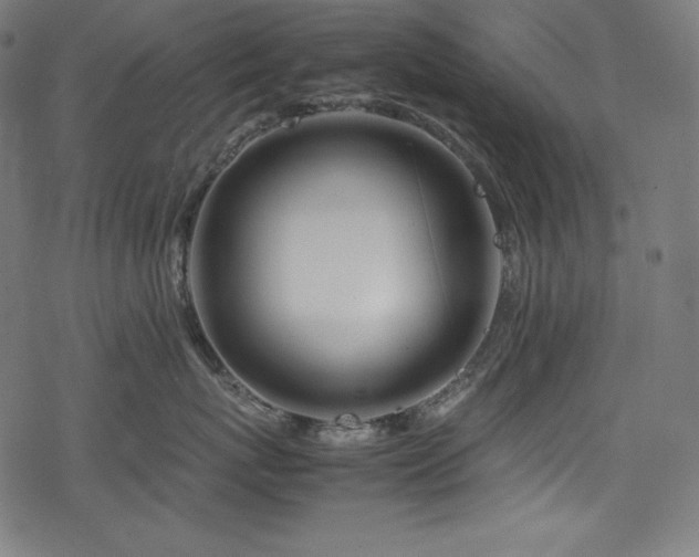 X0000078240767200611031110