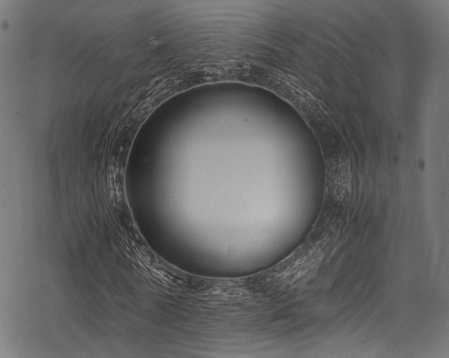 X0000078240770200611031109