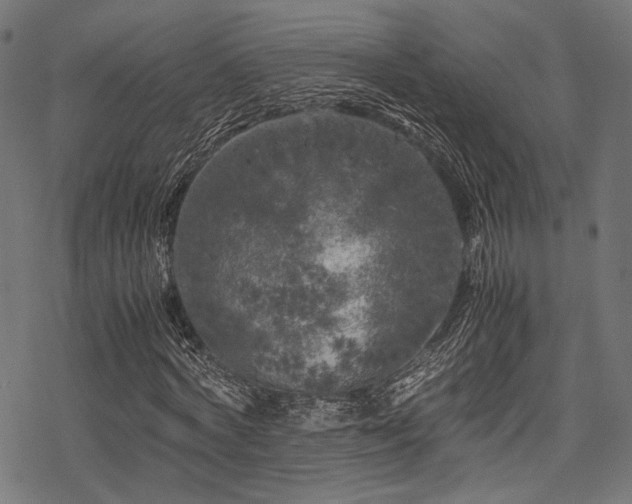 X0000078240772200611031109