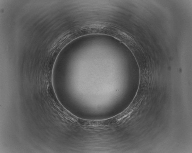 X0000078240774200611031109