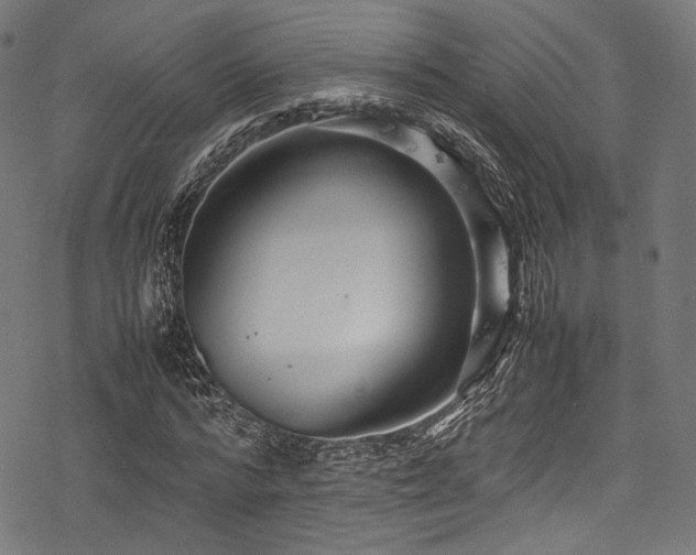 X0000078240776200611031109