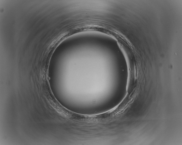 X0000078240785200611031109