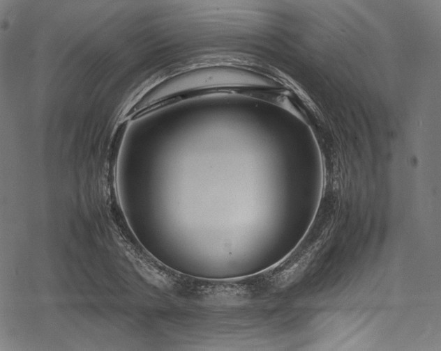 X0000078240786200611031109