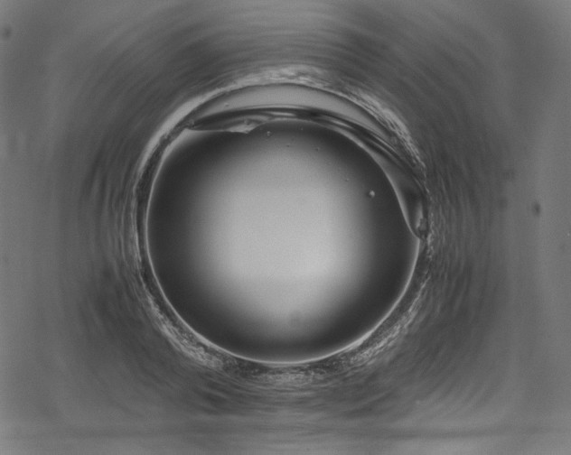 X0000078240792200611031108