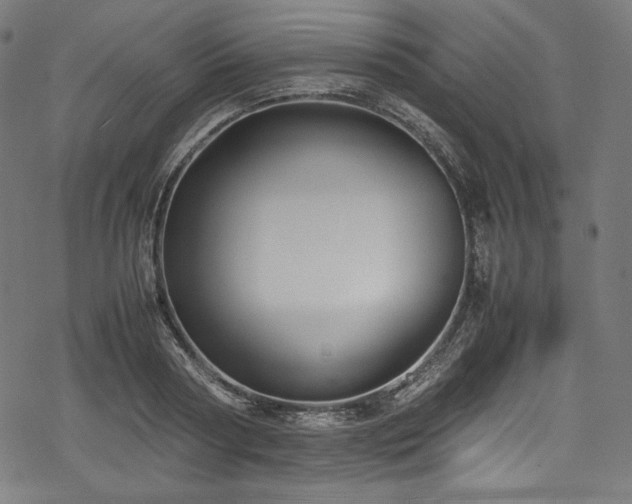 X0000078240794200611031108