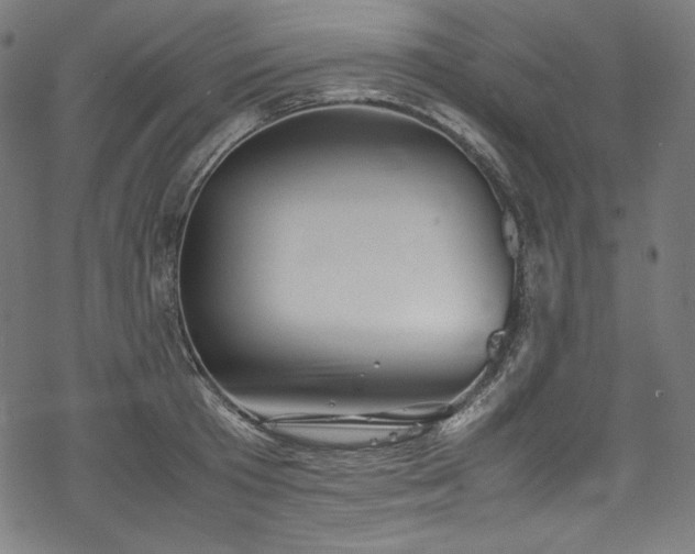 X0000078240801200611031108