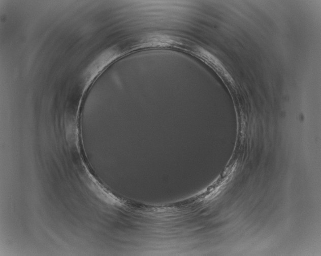 X0000078240802200611031108